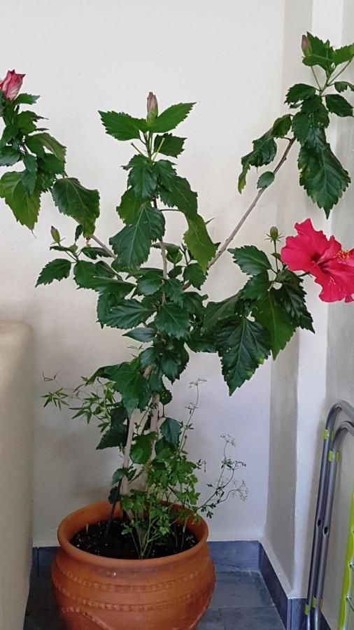 Fyllou Apartment Asproválta Eksteriør bilde